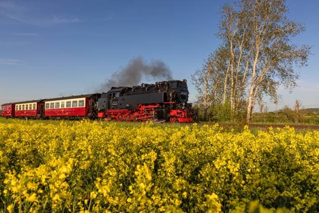 Selketalbahn zwischen Quedlinburg und Gernrode Selketalbahn zwischen Quedlinburg und Gernrode Copyright: xZoonar.com DanielxKühnex 20874650