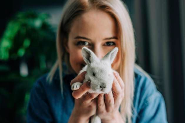 Woman holding bunny in front of face at home model released, Symbolfoto property released, VSNF01511