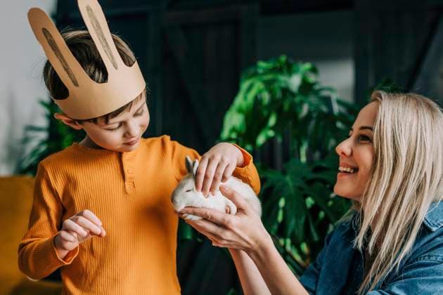 Happy mother and son playing with bunny at home model released, Symbolfoto property released, VSNF01513