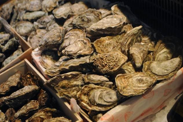 Copenhagen, Denmark 24 January 2024 .Sea food oysters are on sale in danish capital Copenhagen. (Photo.Francis Joseph Dean Dean Pictures)