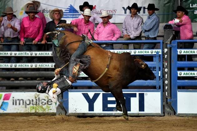 TAMWORTH COUNTRY MUSIC FESTIVAL 2024, A rider competes in the bull ride at the National Finals Rodeo during the 52nd Tamworth Country Music Festival in Tamworth, New South Wales, Friday, January 26, 2024. The biggest music festival in the country returns, with the 52nd Golden Guitar awards to be announced. ( NO ARCHIVING, EDITORIAL USE ONLY, NO USE IN BOOKS WITHOUT CONSENT TAMWORTH NEW SOUTH WALES AUSTRALIA  Copyright: xBIANCAxDExMARCHIx 20240126001893874974
