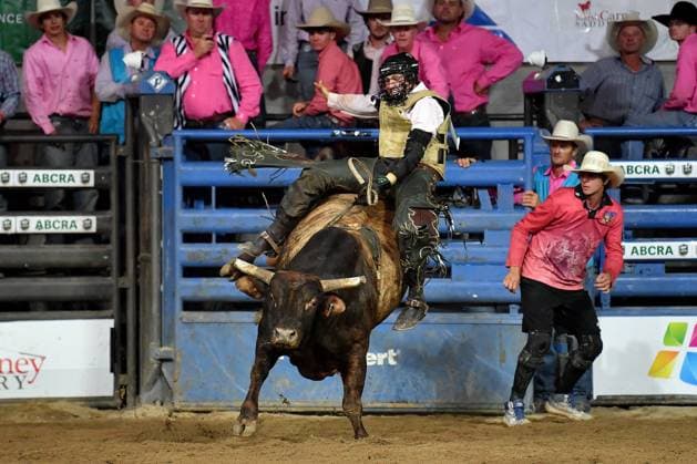 TAMWORTH COUNTRY MUSIC FESTIVAL 2024, A rider competes in the bull ride at the National Finals Rodeo during the 52nd Tamworth Country Music Festival in Tamworth, New South Wales, Friday, January 26, 2024. The biggest music festival in the country returns, with the 52nd Golden Guitar awards to be announced. ( NO ARCHIVING, EDITORIAL USE ONLY, NO USE IN BOOKS WITHOUT CONSENT TAMWORTH NEW SOUTH WALES AUSTRALIA  Copyright: xBIANCAxDExMARCHIx 20240126001893876216