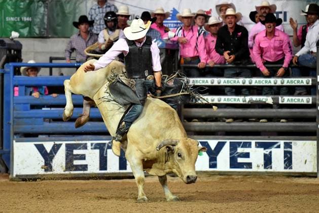 TAMWORTH COUNTRY MUSIC FESTIVAL 2024, A rider competes in the bull ride at the National Finals Rodeo during the 52nd Tamworth Country Music Festival in Tamworth, New South Wales, Friday, January 26, 2024. The biggest music festival in the country returns, with the 52nd Golden Guitar awards to be announced. ( NO ARCHIVING, EDITORIAL USE ONLY, NO USE IN BOOKS WITHOUT CONSENT TAMWORTH NEW SOUTH WALES AUSTRALIA  Copyright: xBIANCAxDExMARCHIx 20240126001893877862