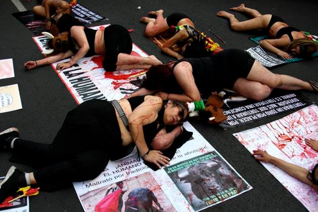 January 28, 2024, Mexico City, Mexico City, Mexico: Dozens of activists demonstrated this Sunday outside Plaza Mo xico, to denounce animal abuse due to the return of bullfighting.. On December 6, a ruling against this decision by the Supreme Court of Justice of the Nation (SCJN) allows fans to enjoy this show again. Mexico City Mexico - ZUMAn296 20240128_zip_n296_001 Copyright: xJorgexNunezx