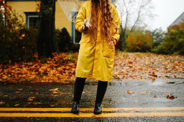 Creative Highlights Symbolbilder Yellow symphony in Autumn rain Waitsfield, Vermont, United States R_AART240126-1341335-01 ,model released, Symbolfoto
