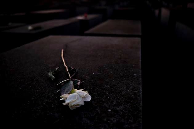 Germany, Berlin, 27 01 2024, Holocaust Memorial, Anniversary of the liberation of the Auschwitz Birkenau extermination and concentration camp, white rose, Rolf Zoellner Holocaust Memorial Day