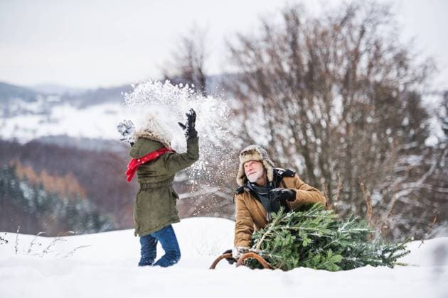 Grandfather and small girl getting a Christmas tree in forest, having fun. Grandfather and a small girl getting a Christmas tree in forest, having fun. Winter day. model released Copyright: xx Get_chris_tree_118