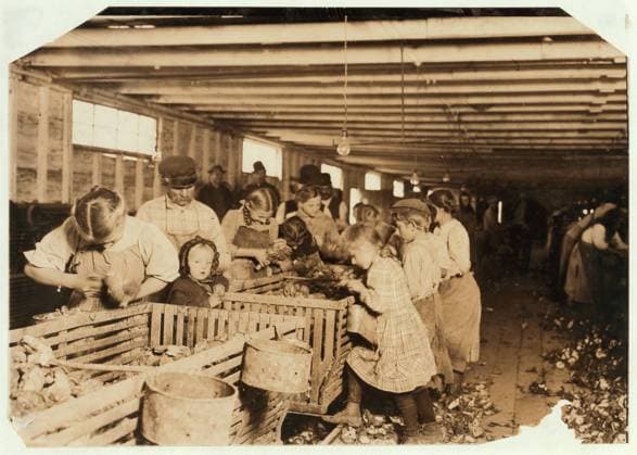 Rosy aged 8 works a 14 hour day as an oyster shucker at Dunbar Cannery, Louisiana, 1911 (b w photo) 1273793 Rosy aged 8 works a 14 hour day as an oyster shucker at Dunbar Cannery, Louisiana, 1911 (b w photo) by Hine, Lewis Wickes (1874-1940); Private Collection; (add.info.: Lewis Hine was an investigative photographer for the National Child Labor Committee who documented from 1908-1912 the working conditions and exploitation of children in all types of industries. ). Copyright: xBridgemanxImagesx 1273793