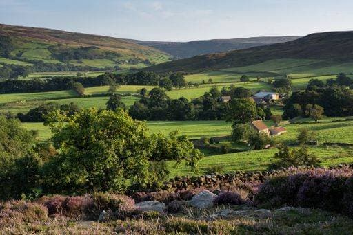 Expansive view over countryside in the North York Moors, showing grassy livestock fields, trees, and moorland hills covered in purple heather 2957548 RECORD DATE NOT STATED