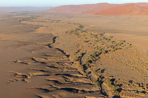 Creative Highlights World Trockenes Flussbett vor den Sanddünen im Namib-Naukluft-Nationalpark, Namibia, Afrika *** Dry Riverbed before the Sand dunes at Namib Naukluft National Park, Namibia, Africa Copyright: imageBROKER/FranzxChristophxRobiller ibxrob10159332.jpg