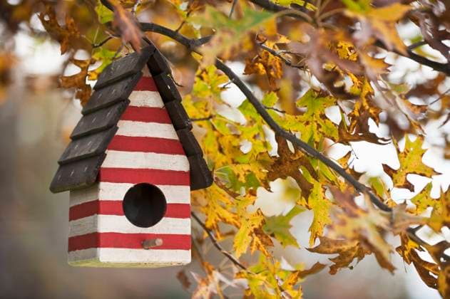 Birdhouse France, Grand Est, Colmar, 12.01.2009, property released, TTBB_ti0138331.jpg, No People, America, American Flag, American Flags, American Icon, American Icons, American Image, American Images, American Symbol, American Symbols, Americana, Antique, Autumn, Bird House, Bird Houses, Birdhouse, Birdhouses, Branch, Day, Days, Daytime, Flag, Flags, Horizontal, Icon, Iconic Image, Iconic Images, Icons, Leaves, Nobody, Old Glory, Outdoor, Outdoors, Patriotic Image, Patriotic Images, Patriotism, Serene, Serenity, Stars, Stars and Stripes, Stripes, Symbol, Symbolic Image, Symbolic Images, Symbols, Tree, Trees, US, US Flag, US Flags, USA, USA Flag, USA Flags, United States, United States Flag, United States Flags, United States of America, Copyright: xTetraxImagesx