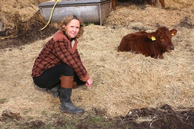 News Themen der Woche KW07 News Bilder des Tages Die Bundesministerin für Umwelt, Naturschutz, nukleare Sicherheit und Verbraucherschutz, Steffi Lemke besucht am Dienstag (13.02.2024) in der Gemeinde Ruhner Berge, OT Drenkow (Landkreis Ludwigslust Parchim) den Siebengiebelhof. Dort informiert sie sich auf einem ökologisch bewirtschafteten Milchviehbetrieb über die aktuellen Herausforderungen in der Landwirtschaft und künftige Lösungsansätze für die Landwirte. Das landwirtschaftliche Unternehmen ist ein kleiner, innovativer Betrieb mit 25 Milchkühen in Weidehaltung, eigener Käserei und Direktvermarktung sowie ökologischer Wirtschaftsweise. *** The Federal Minister for the Environment, Nature Conservation, Nuclear Safety and Consumer Protection, Steffi Lemke, will visit the Siebe