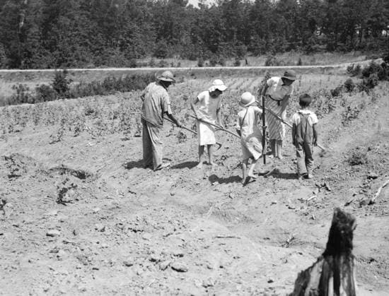 Alabama tenant farmer and children near Anniston, 1936 (b w photo) 3738720 Alabama tenant farmer and children near Anniston, 1936 (b w photo) by Lange, Dorothea (1895-1965); Private Collection; (add.info.: Alabama tenant farmer and children. Family labor in cotton. Near Anniston, Alabama ). Copyright: xBridgemanxImagesx 3738720