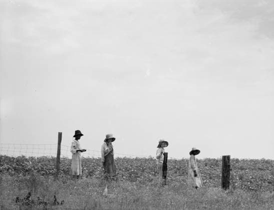 Cotton hoers leaving the fields for lunch in Georgia, 1937 (b w photo) 3738753 Cotton hoers leaving the fields for lunch in Georgia, 1937 (b w photo) by Lange, Dorothea (1895-1965); Private Collection; (add.info.: Cotton hoers leaving the fields for lunch. Farmer s daughter and laborers, whites and blacks. Georgia ). Copyright: xBridgemanxImagesx 3738753
