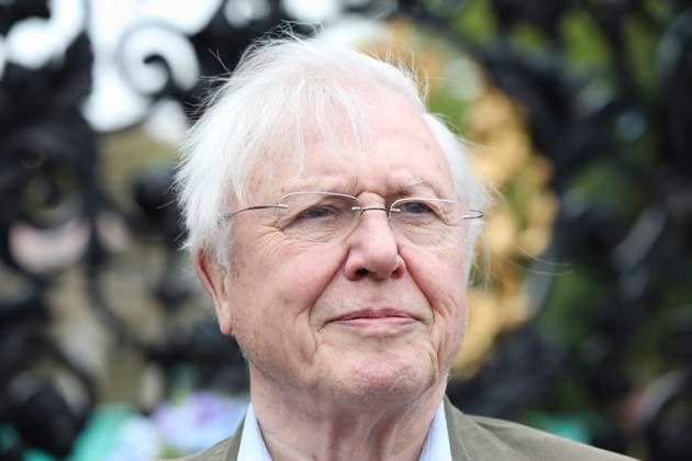 Sir David Attenborough photocall Sir David Attenborough unveils and pose with a life-size sculpture of himself created by three time RHS Chelsea Flower Show Gold Medallist and Best in Show winner (years 2009, 2010, 2011) artist Joe Massie at Kew Gardens on May 17, 2012 in London, England. Picture Zenon Stefaniak, Credit:Zenon Stefaniak Avalon  Copyright: xZenonxStefaniakx xAvalonx 0529761637