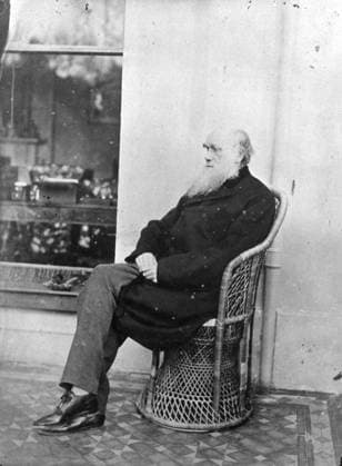 Charles Darwin (b w photo) XJF438454 Charles Darwin (b w photo) by Darwin, Captain L. (fl.1874); Private Collection; (add.info.: Charles Darwin (1809-84) English naturalist who developed the theory of evolution through natural selection, author of On the Origin of Species , 1859;). Copyright: xBridgemanxImagesx 438454