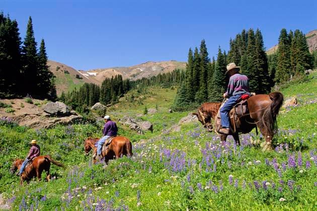 South Chilcotin Range, Cinnabar Basin, Outfitter leading trail ride  Copyright: x AllCanadaPhotos.comx 1990-25494 ,model released, Symbolfoto
