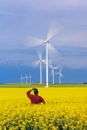 a farmer views moving wind turbines from a blooming canola field, St. Leon, Manitoba, Canada MR_DaveReede  Copyright: x AllCanadaPhotos.comx 1990-54859 ,model released, Symbolfoto