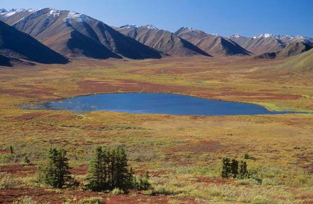 Ogilvie Mountains along Dempster highway, Yukon Territory, Canada.  Copyright: x AllCanadaPhotos.comx 1990-53992