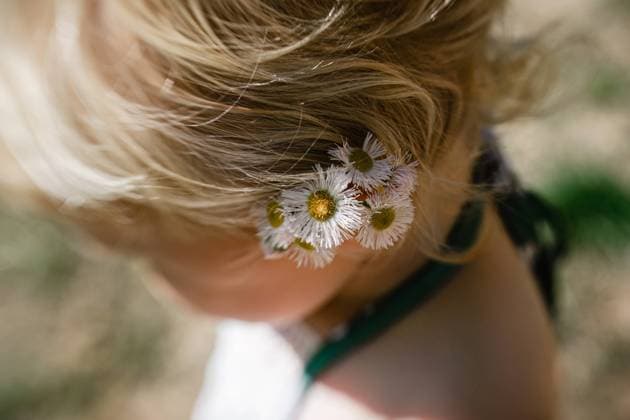 Creative Highlights Symbolbilder Tiny white wildflowers in toddler s hair McClure, Illinois, United States CR_WEKW240205F-1342631-01 ,model released, Symbolfoto