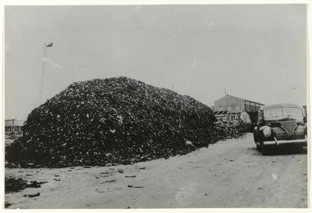 RECORD DATE NOT STATED Berg Shoes in Concentration Camp Neuengamme, Anefo, 1945 photograph A mountain of shoes of killed prisoners in Neuengamme concentration camp, as the Americans found it. Netherlands photographic support Neuengamme. Germany Copyright: xpiemagsx rknbpie221223-21293 !ACHTUNG AUFNAHMEDATUM GESCHÄTZT!