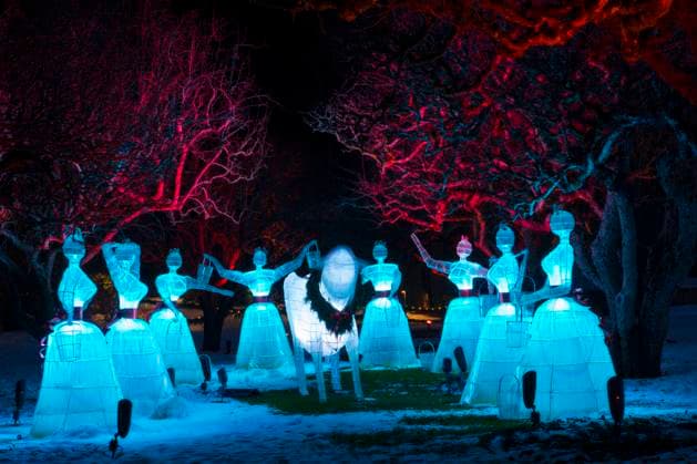 The Butchart Gardens, Christmas displays, Victoria, British Columbia, Canada  Copyright: x xAllxCanadaxPhotosx 1990-15463322