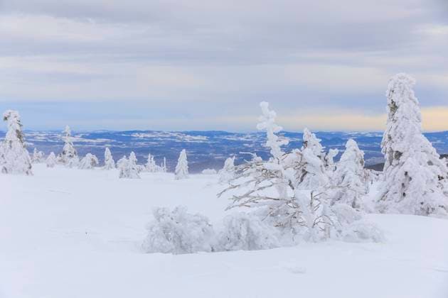 Winterzauber auf dem Kammweg am Reifträger, Aussicht nach Osten, Riesengebirge, Grenze zwischen Tschechien und Polen *** Winter magic on the ridge trail on the Reifträger, view to the east, Giant Mountains, border between the Czech Republic and Poland