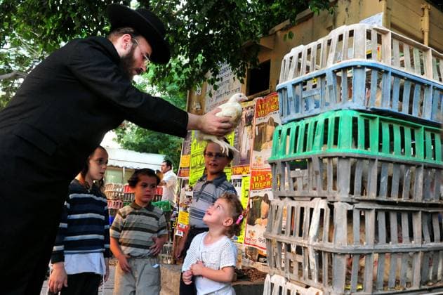 Kaparot Jewish Ceremony Ritual ASHDOD - SEPTEMBER 15 :Ultra orthodox Jewish man waves a chicken over his children head during the Kaparot ceremony held on September 15 2010 in Ashdod Israel. Ashdod Israel EDITORIAL USE ONLY Copyright: xx RafaelxBen-Ari ChameleonsxEyex cewitness077381