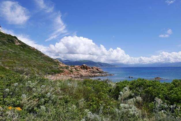 Holidays in southern Corsica. Holidays in southern Corsica. Discovery of the Sanguinaires Islands, next to the city of Ajaccio Copyright: xZoonar.com sebastienxhovaguimianx 15252448