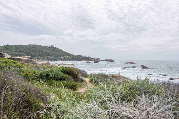 discovery of the island of beauty in southern Corsica, France discovery of the island of beauty in southern Corsica in May, France Copyright: xZoonar.com sebastienxhovaguimianx 17430734
