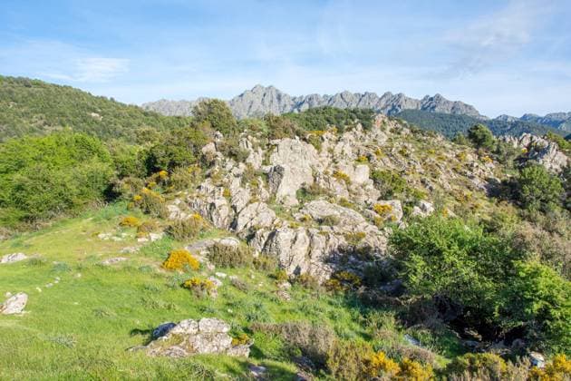discovery of the island of beauty in southern Corsica, France discovery of the island of beauty in southern Corsica in May, France Copyright: xZoonar.com sebastienxhovaguimianx 17430739