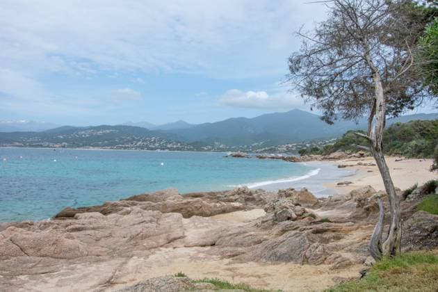 discovery of the island of beauty in southern Corsica, France discovery of the island of beauty in southern Corsica in May, France Copyright: xZoonar.com sebastienxhovaguimianx 17430866