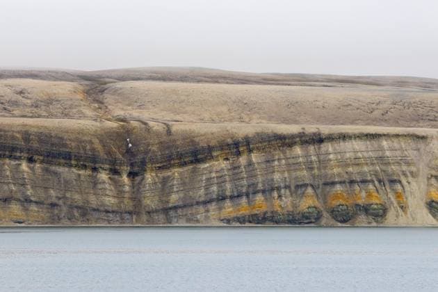 Creative Highlights World Meeresklippe mit Kalk und Sandsteinschichten aus der Permzeit entlang der Hinlopenstraße, Hinlopenstretet, Spitzbergen, Svalbard, Norwegen, Europa *** Sea cliff with Lime and Sandstone layers from the Permian time along the Hinlopenstrasse, Hinlopenstretet, Spitsbergen, Svalbard, Norway, Europe Copyright: imageBROKER/alimdix/xArterrax/xSven-ErikxArndt ibltsm10252315.jpg