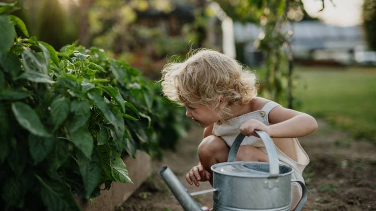 IMAGO Creative: Garten, Anbau im Hochbeet Little girl squatting by raised garden bed, holding metal watering can. Caring for vegetable garden and growing, planting spring vegetables. Little girl squatting by raised garden bed, holding metal watering can. Caring for a vegetable garden and growing, planting spring vegetables. model released