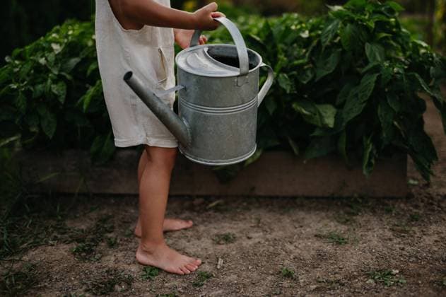 IMAGO Creative: Garten, Anbau im Hochbeet Close up on boy s bare feet while watering raised garden bed, holding metal watering can. Caring for vegetable garden and growing, planting spring vegetables. Close up on boy s bare feet while watering raised garden bed, holding metal watering can. Caring for a vegetable garden and growing, planting spring vegetables. model released