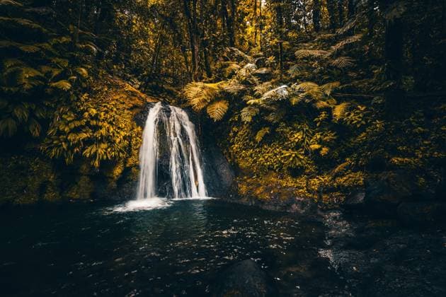 Creative Highlights World  Natur pur, ein Wasserfall mit Becken im Wald. Die Ecrevisses Wasserfälle, Cascade aux écrevisses auf Guadeloupe, in der Karibik. Französische Antillen, Frankreich, Europa *** Nature pure, a Waterfall with Basins at Forest the Ecrevisses Waterfalls, Cascade aux écrevisses at Guadeloupe, in the Caribbean French Antilles, France, Europe Copyright: imageBROKER/JanxWehnert ibxjwe10320399.jpg