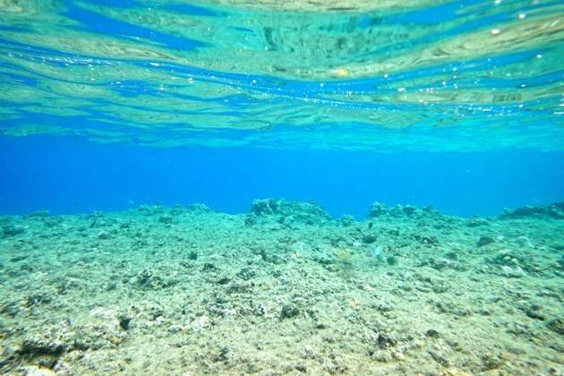 Creative Highlights World Underwater background Beautiful underwater seascape, natural background Copyright: xZoonar.com RuslanxNassyrovx 17842852