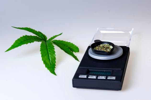 Ab dem 1. April 2024 wird der Kauf, Besitz und Konsum für Volljährige in Deutschland mit Vorgaben legal. Das Gesetz sieht vor, dass Konsumenten Cannabis künftig über nicht-kommerzielle Anbauvereinigungen beziehen können. Das Gesetz sieht vor, dass Erwachsene bis zu 25 Gramm Cannabis mit sich führen dürfen, im Haushalt dürfen bis zu 50 Gramm gelagert werden. (Symbolfoto, Themenfoto) *** From April 1, 2024, the purchase, possession and consumption of cannabis will be legal for adults in Germany, subject to certain conditions The law stipulates that consumers will be able to obtain cannabis from non-commercial cultivation associations in future The law stipulates that adults may carry up to 25 grams of cannabis with them, and up to 50 Foto:xB.xSchubertx xFuturexImagex cannabis_legalisierung_4322