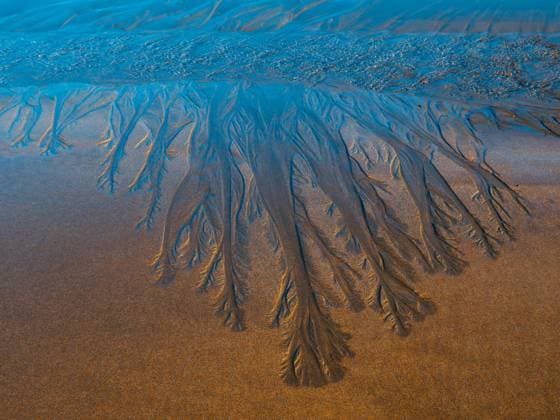 Creative Highlights World Sand patterns resembling tree branches created by water on the beach of Jaizkibel, showcasing the natural art of erosion. Model Released HodeiUnzueta_ID19812_587677_008 Copyright: xHodeixUnzuetax RECORD DATE NOT STATED