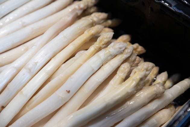 Erster Lampertheimer Spargel ist da! Beim Hofgut Christiane Hartmann gibt es den ersten Spargel der neuen Saison. 06.03.2024 Lampertheim Erster Lampertheimer Spargel ist da! Beim Hofgut Christiane Hartmann gibt es den ersten Spargel der neuen Saison. *** The first Lampertheim asparagus has arrived The first asparagus of the new season is available at Hofgut Christiane Hartmann 06 03 2024 Lampertheim The first Lampertheim asparagus has arrived The first asparagus of the new season is available at Hofgut Christiane Hartmann TG2024-0166