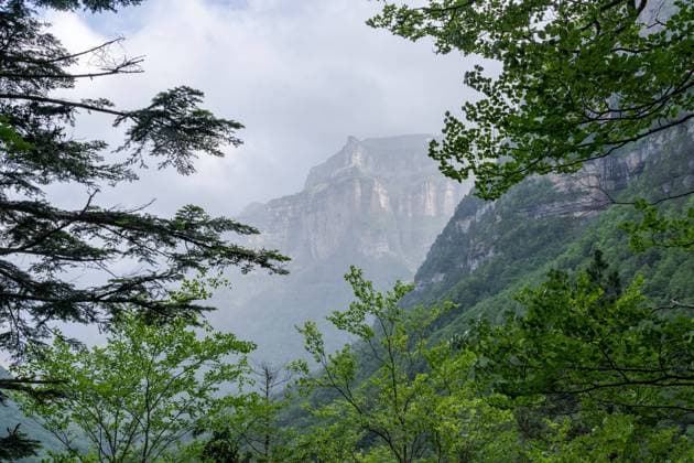 Lush green foliage frames the majestic cliffs of Valle de Ordesa under a misty sky in the Ordesa y Monte Perdido National Park Model Released JuanLopez_ID19920_590336_001 Copyright: xJuanxLopezx