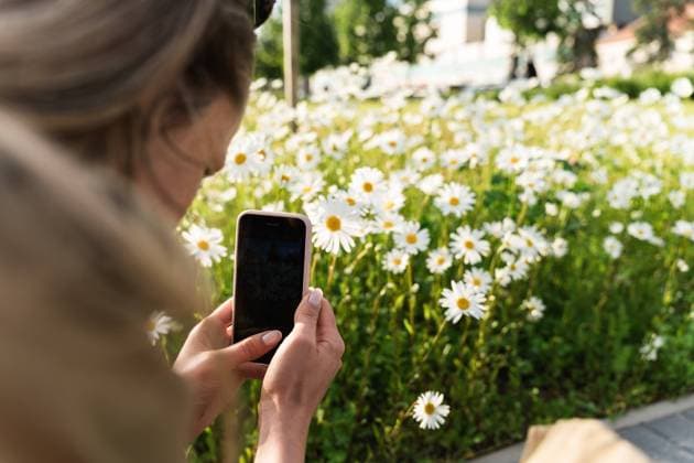 IMAGO Creative: Sommer, Sommertage im Stadtpark woman takes photo of flowering daisies on her smartphone Vilnius, Vilnius County, Lithuania R_EDSAHG230427C1-1176776-01 ,model released, Symbolfoto