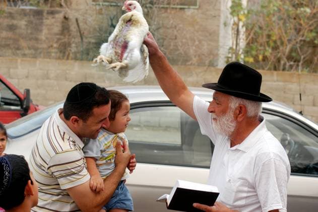 Kaparot Jewish Ceremony Ritual ASHKELON - OCT 01 : Jewish man waves a chicken over his son and grandchild head during the Kaparot ceremony held on October 01 2006 in Ashkelon Israel. ASHKELON ISRAEL EDITORIAL USE ONLY Copyright: xx RafaelxBen-Ari ChameleonsxEyex cewitness087086