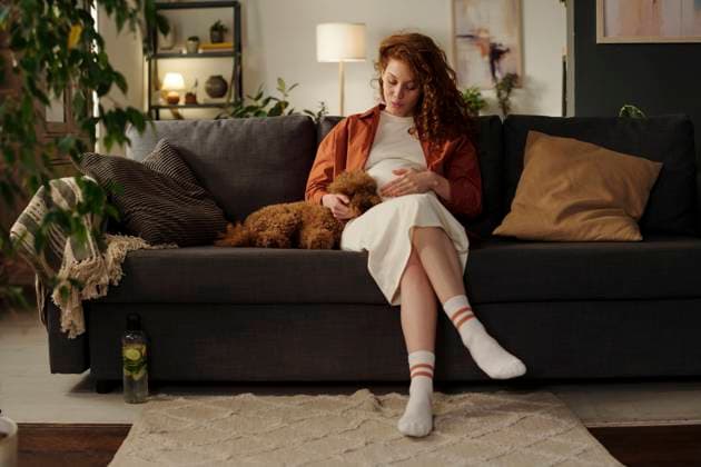 Creative Highlights Symbolbilder Young expectant woman stroking dog sitting on sofa model released, Symbolfoto property released, DSHF01650