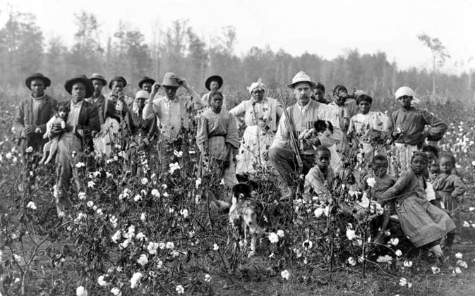 COTTON PLANTER & PICKERS, c1908. A cotton plantation owner photographed with a group of workers in a field, c1908.  Copyright: xGRANGERx xGRANGERx 0120450