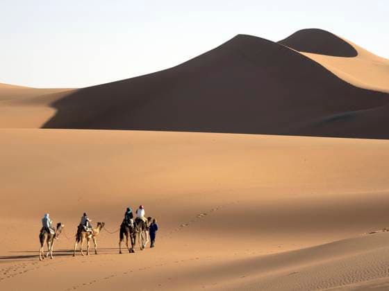 Creative Highlights Symbolbilder Morocco, Mhamid, Erg Chegaga, Erg M Hazil, Sahara desert Mhamid, Drâa-Tafilalet, Morocco CR_LRNJ240321-1375704-01 EDITORIAL USE ONLY