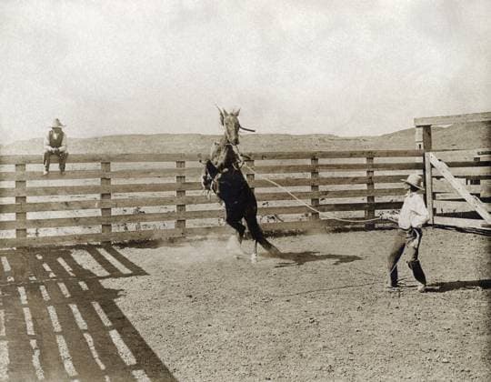 TEXAS: COWBOY, c1907. A cowboy breaking a horse in a corral on the LS Ranch in Texas. Photograph by Erwin Evans Smith, c1907.  Copyright: xGRANGERx xGRANGERx 0124920