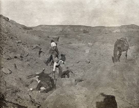 TEXAS: COWBOYS, c1907. Two cowboys pulling a cow lying on its side from a gully in Texas. Photograph by Erwin Evans Smith, c1907.  Copyright: xGRANGERx xGRANGERx 0124929