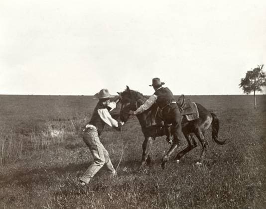 TEXAS: COWBOYS, c1908. A cowboy trying to mount a bronco while another cowboy holds the horse by the reins in Texas. Photograph by Erwin Evans Smith, c1908.  Copyright: xGRANGERx xGRANGERx 0124935