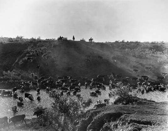 TEXAS: SPUR RANCH, 1909. Cowboys and cattle at Spur Ranch, Texas. Photograph by Erwin E. Smith, 1909.  Copyright: xGRANGERx xGRANGERx 0259439